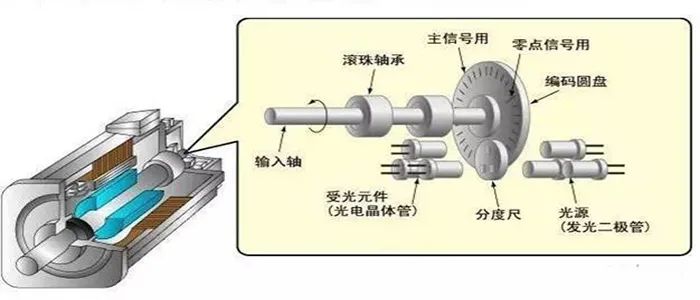 润滑油脂